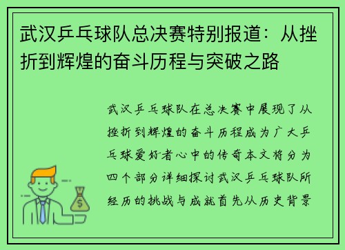 武汉乒乓球队总决赛特别报道：从挫折到辉煌的奋斗历程与突破之路