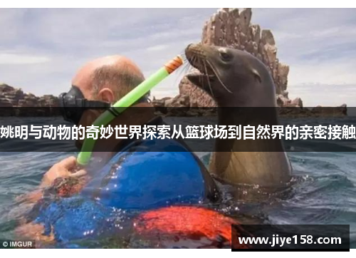姚明与动物的奇妙世界探索从篮球场到自然界的亲密接触